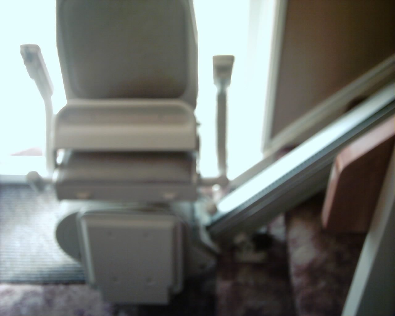 picture of serviced bison classic